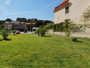 Redovito-odrzavanje-engleskog-travnjaka-TOMMY-RAB-01