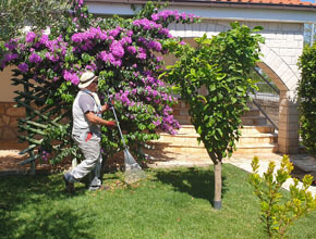 Redovito-odrzavanje-vrta-TRIBUNJ-01