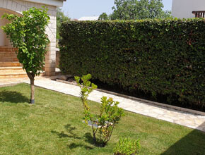 Redovito-odrzavanje-vrta-TRIBUNJ-03